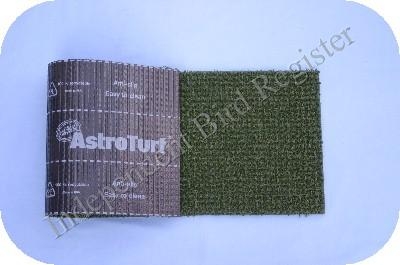 ASTROTURF